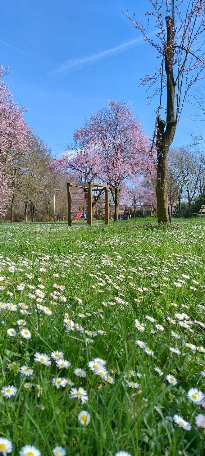 Shanti Ca' Casa Indipendente Con Giardino Lacchiarella Екстер'єр фото